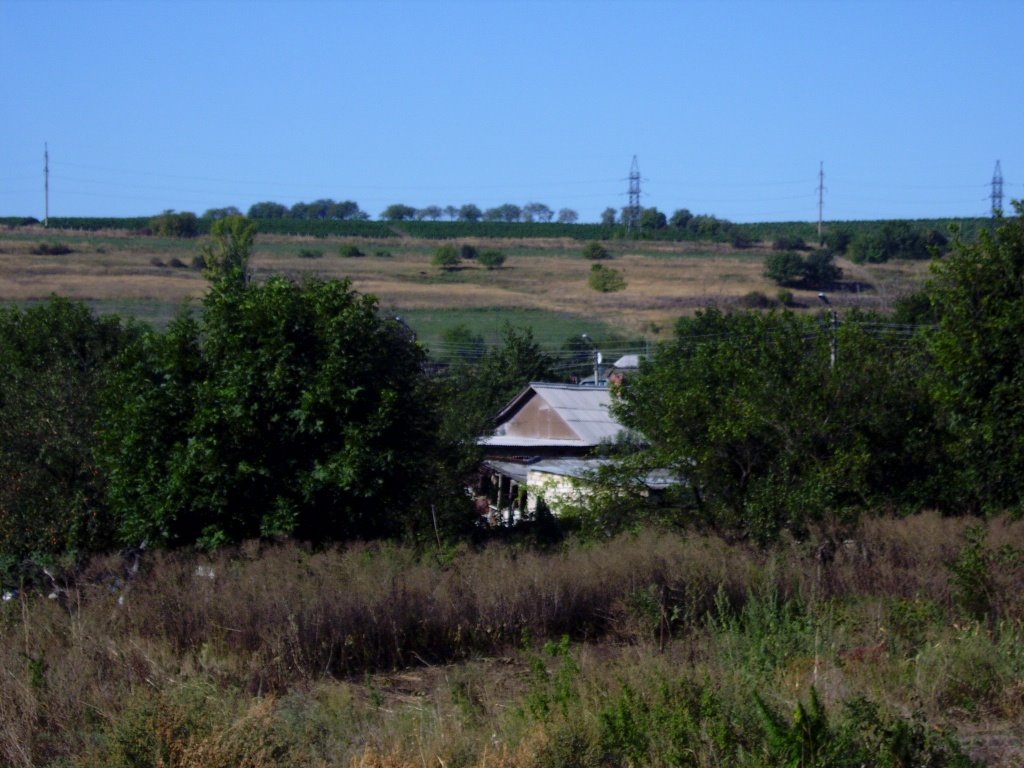 Codru, Moldova by wladimir7