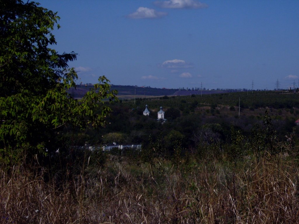 Codru, Moldova by wladimir7