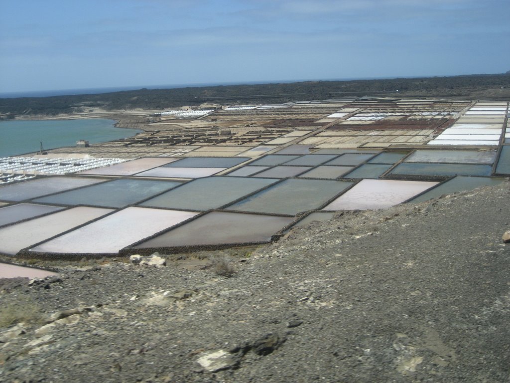 Salinas de Janubio by Udo Stockhausen