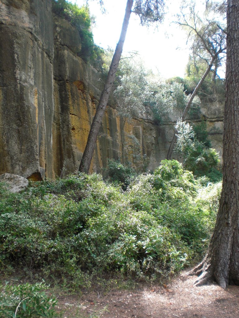 Cantera romana del Mèdol by Carles G