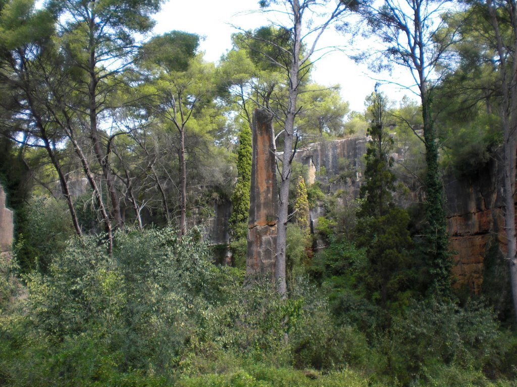 Pedrera del Mèdol by Carles G