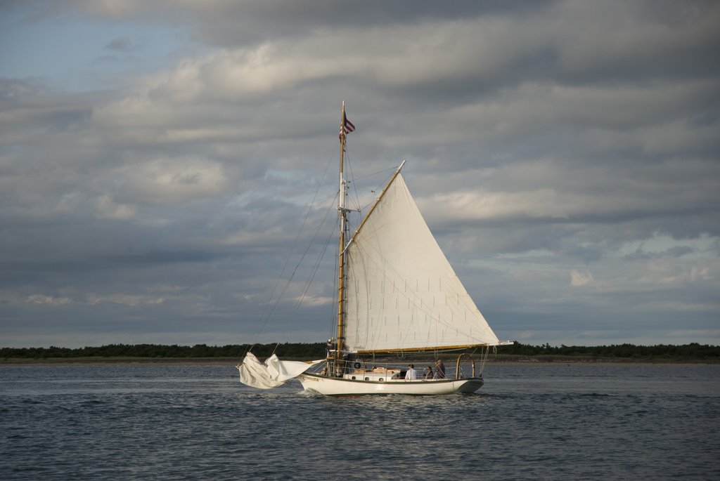 Nantucket Sailboat by LeighCinti