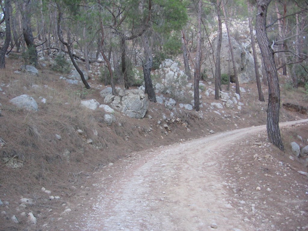 Road to Turkey flag... by SiemenZc