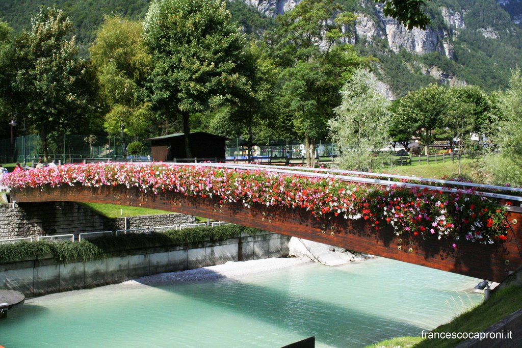 Ponte Fiorito, Molveno by Francesco Caproni