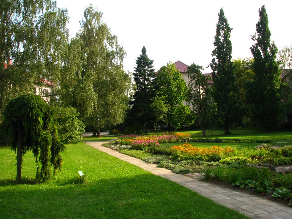 Flowers and trees in Girionys by Alfas.Pliura