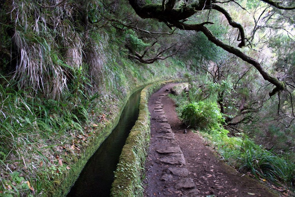 View at the levada walk to the 25 fontes #1 (2007-09) by arco_on_tour