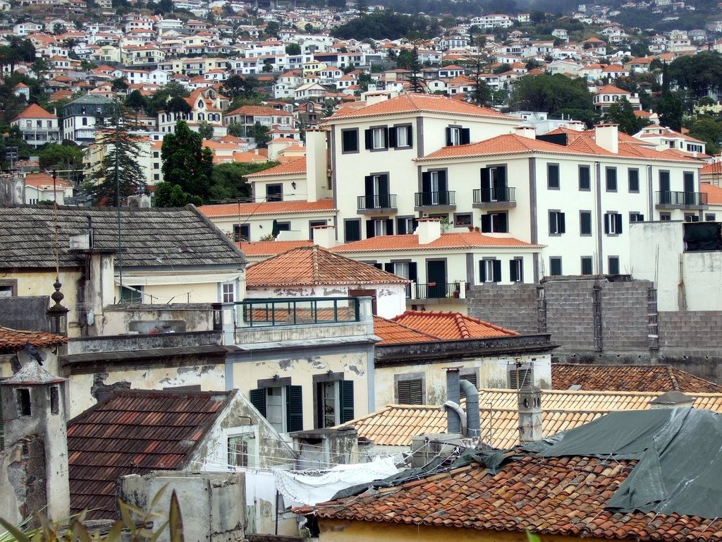 Funchal: Funchal Roofs from the roof terrace of the Madeira Story Centre (2007-09) by arco_on_tour