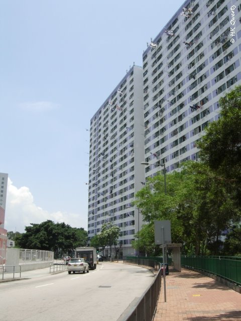 Lok King House, Lai King Estate 荔景邨 樂景樓 by HK Qwerty