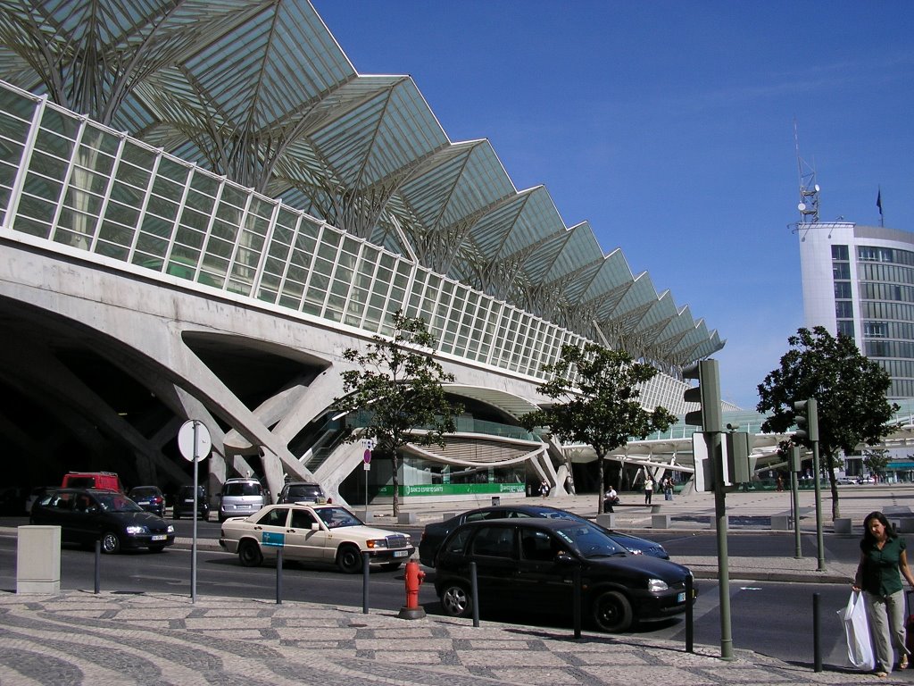 Stazione Oriente (Calatrava) by polenta