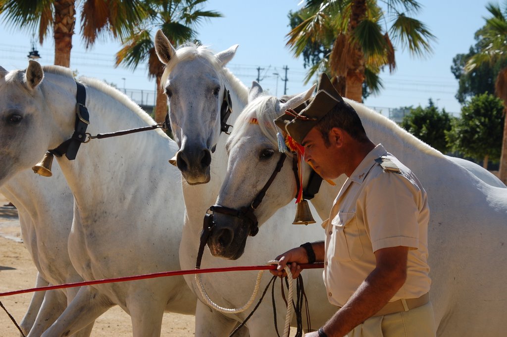 Pareja ideal by A.Valle