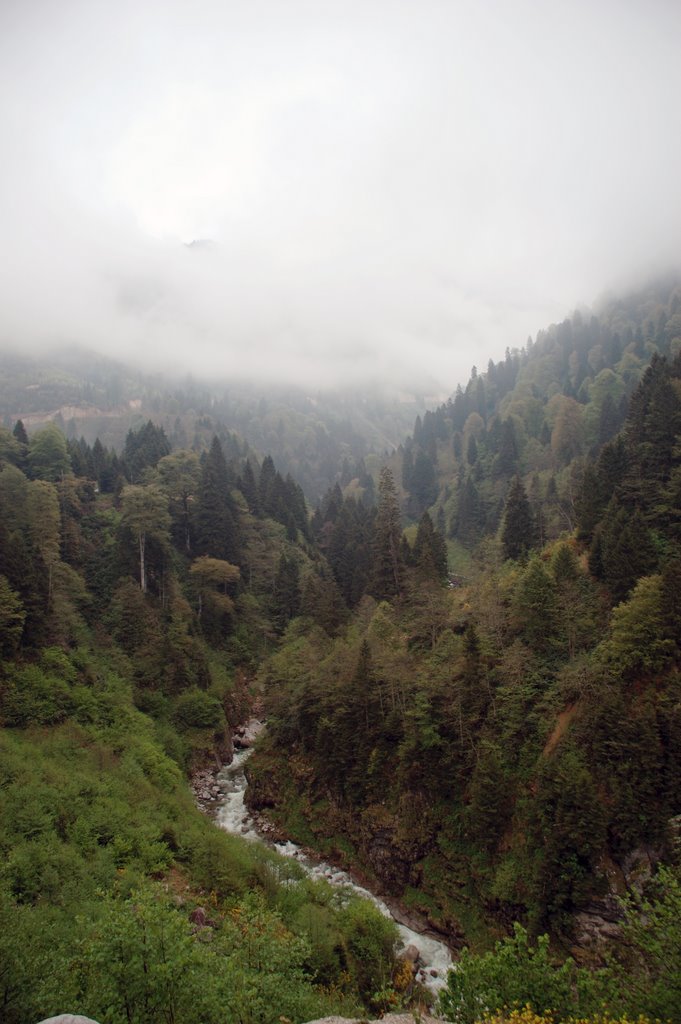 Ayder Plateau, Camlihemsin, Rize, Turkey by Seref Halicioglu