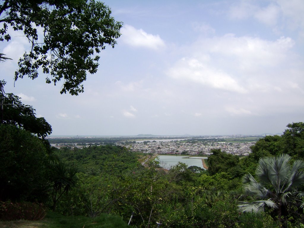 Guayaquil desde el Jardín Botánico by José Bernardo 75