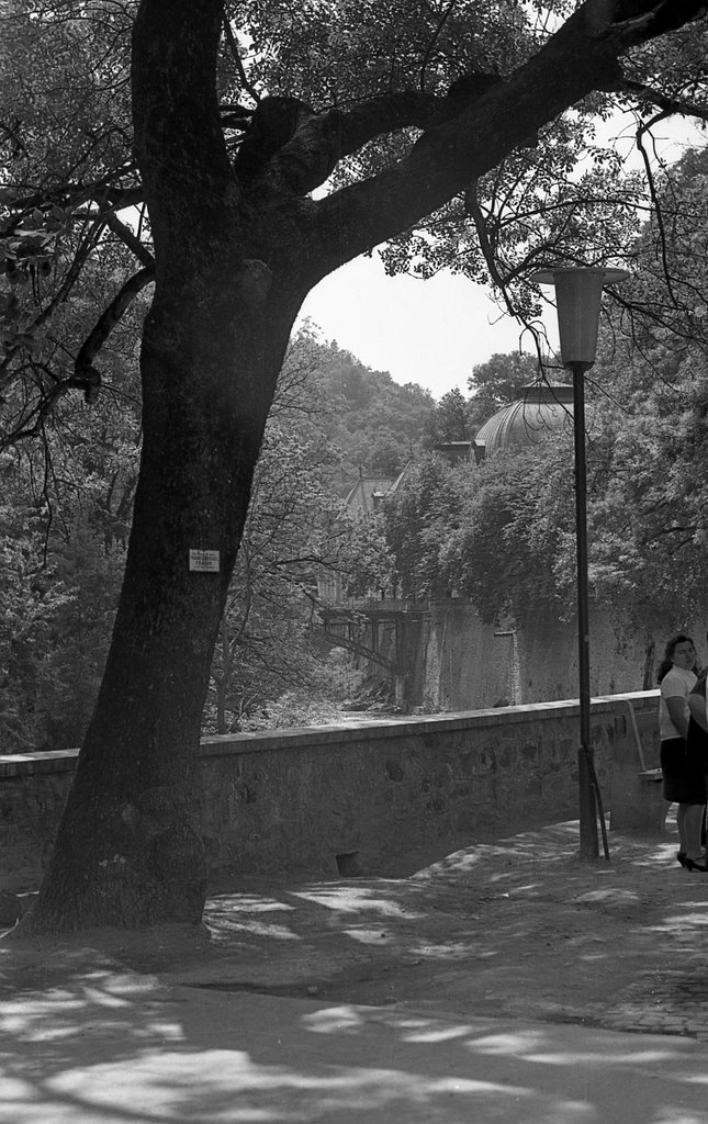 Romania - Herculane Spa yr. 1974/3 - Bridge over Cerna River by Viorel.Lupsa