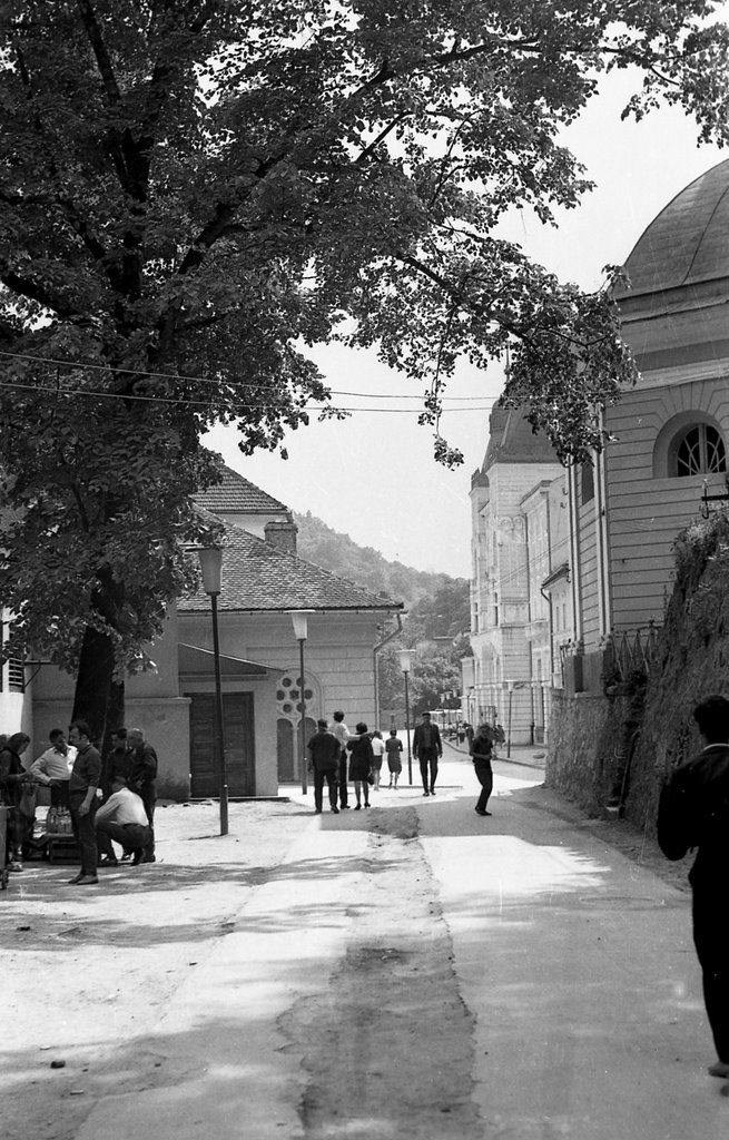 Romania - Herculane Spa yr. 1974/5 - Street by Viorel.Lupsa