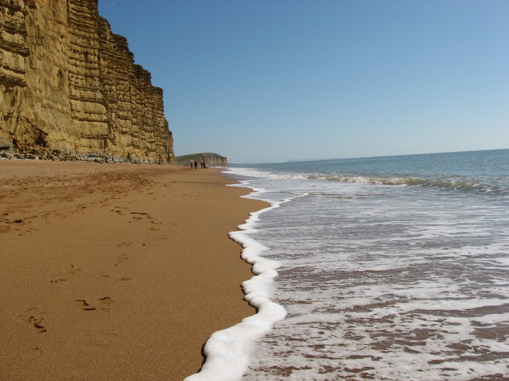 Dorset Cliffs. by Robert Powell