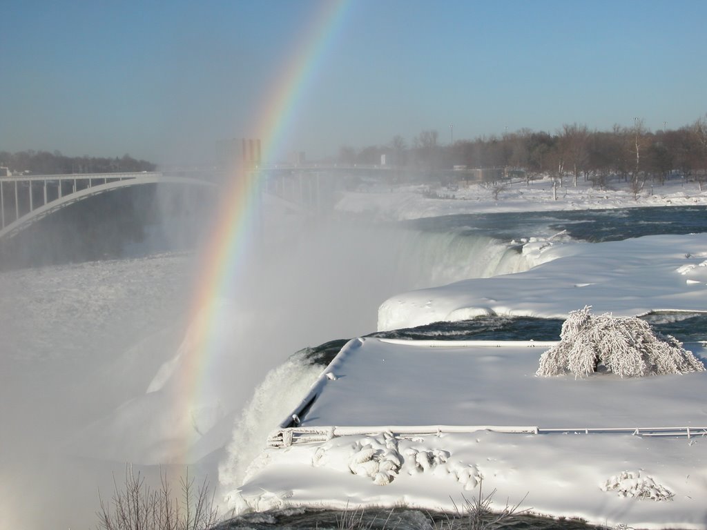 Frozen Niagara falls by Bindu