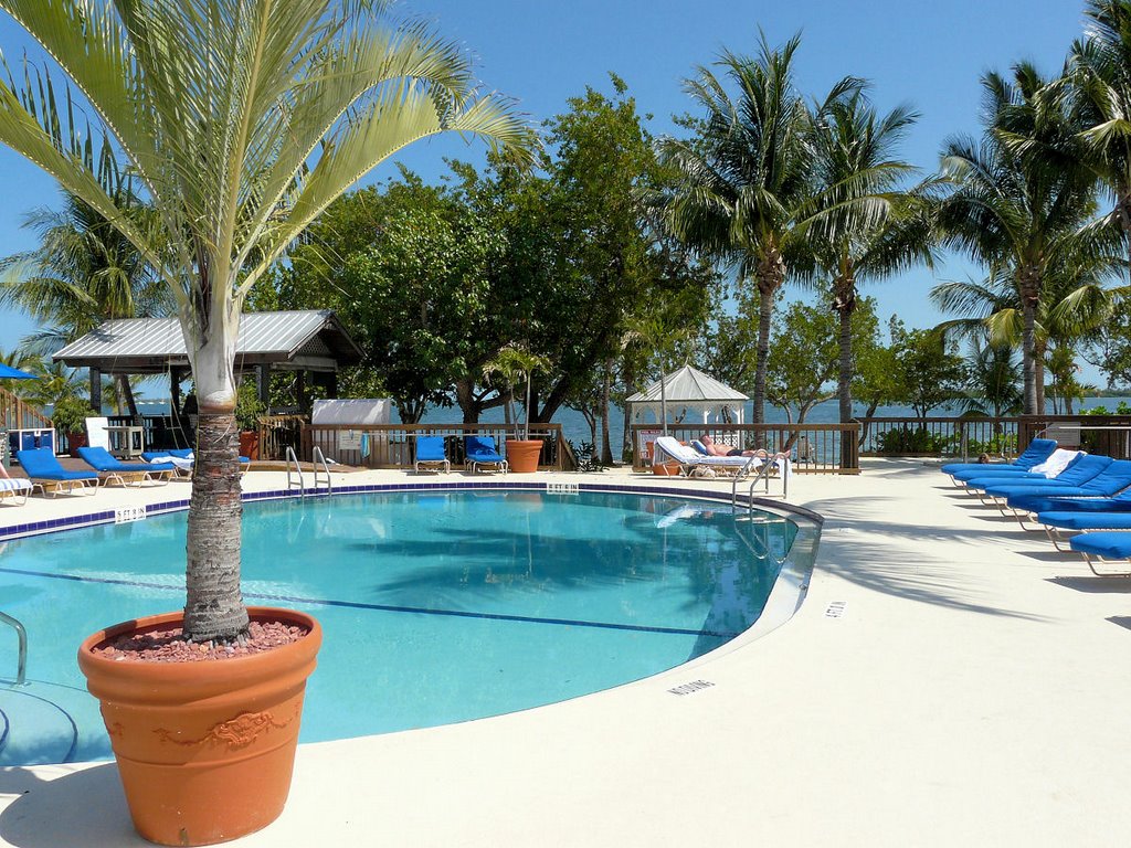 USA: Florida, Key West - Banana Bay Resort, the poolarea by Yory