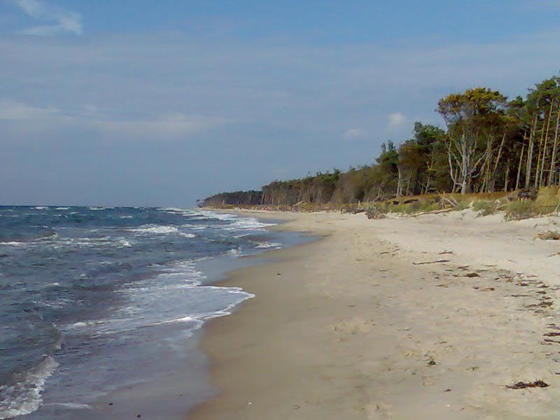 Strand von Ahrenshoop Sommer 2008 by Spandau 1