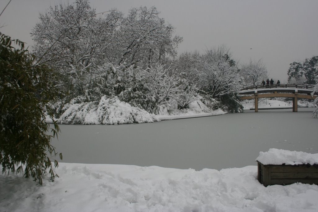 西湖－六公园2008年雪景 by wangsansi