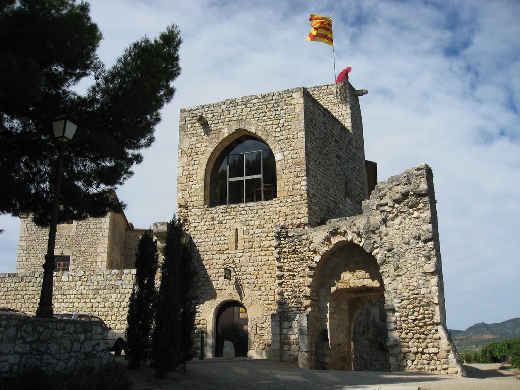 Castell de St Martí Sarroca 3 by Joel Marimon Bonet