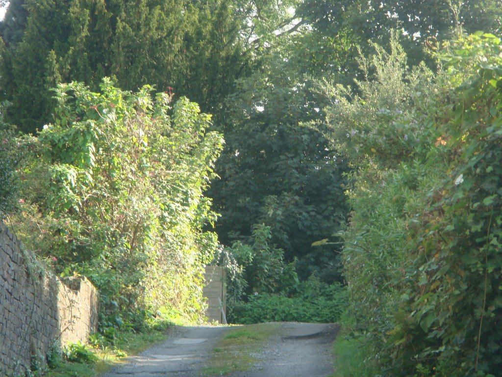 Lane to Pidgin lockup by mikesey