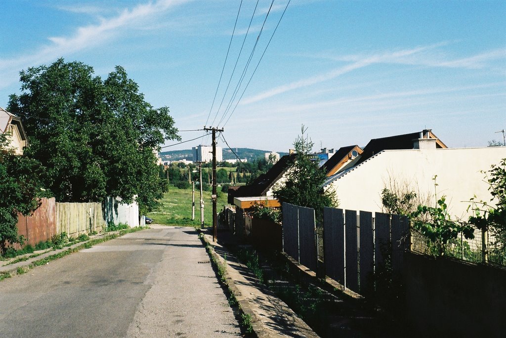 Taborska, Blick nach Nordwesten by WoflGE