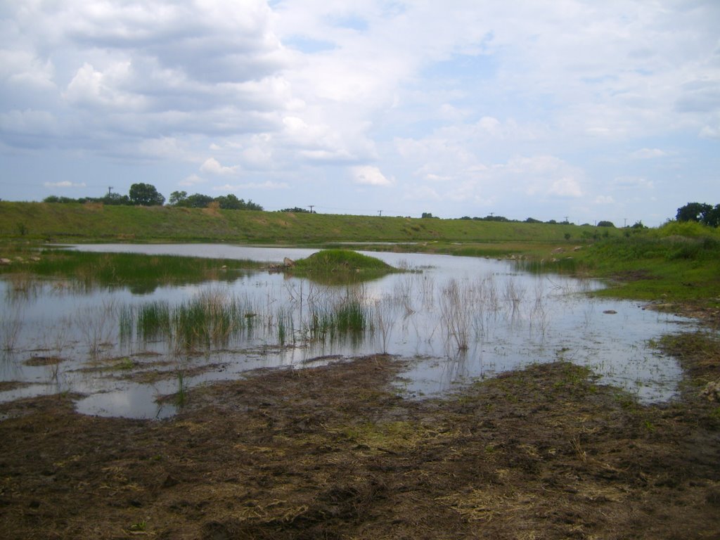 Texas Swamp by plutonature333