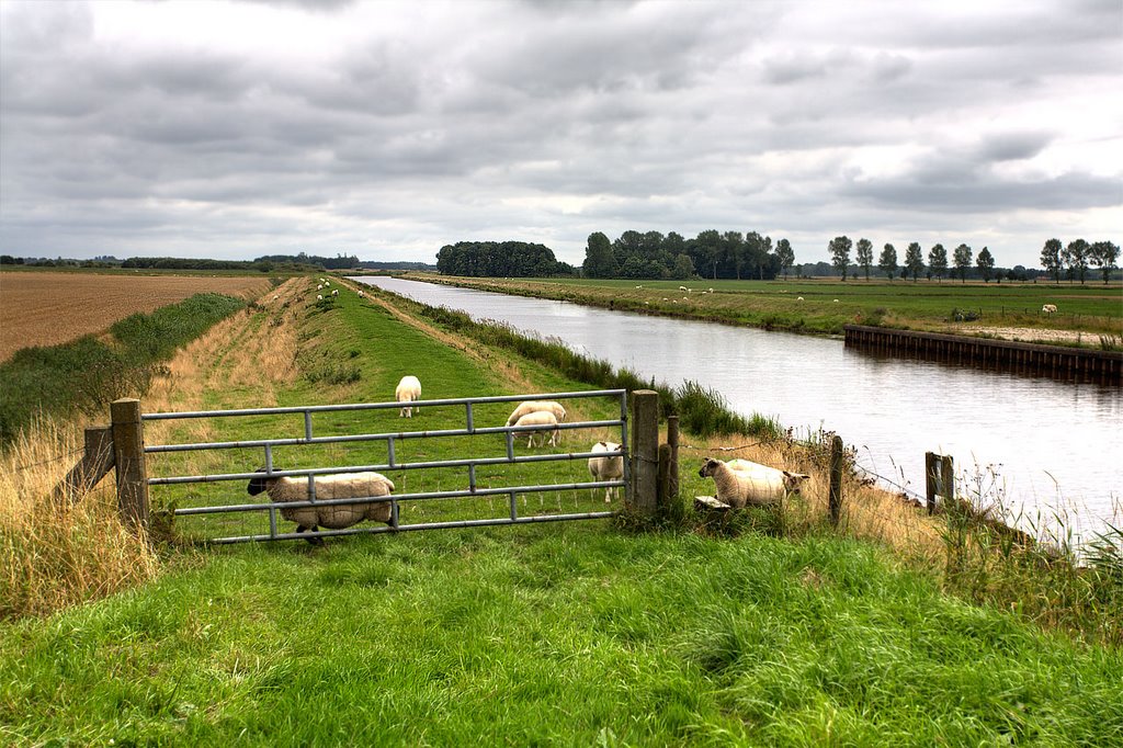 Fields and channels by Yuriy:)Chulkov