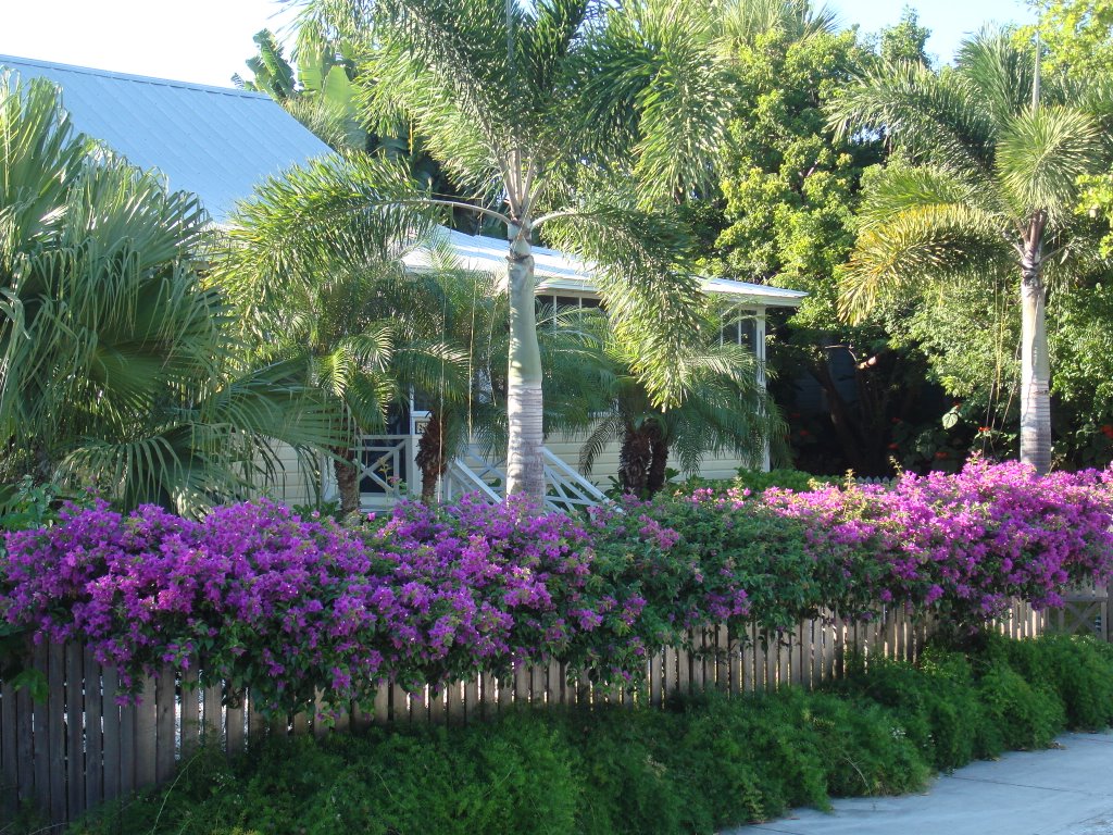 Home on 5th Ave, Boca Grande by Gerard Lucas