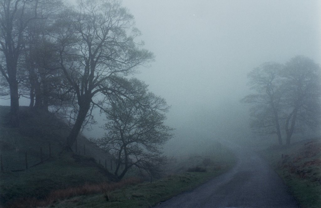 Peak District, May 1996 by tarjak