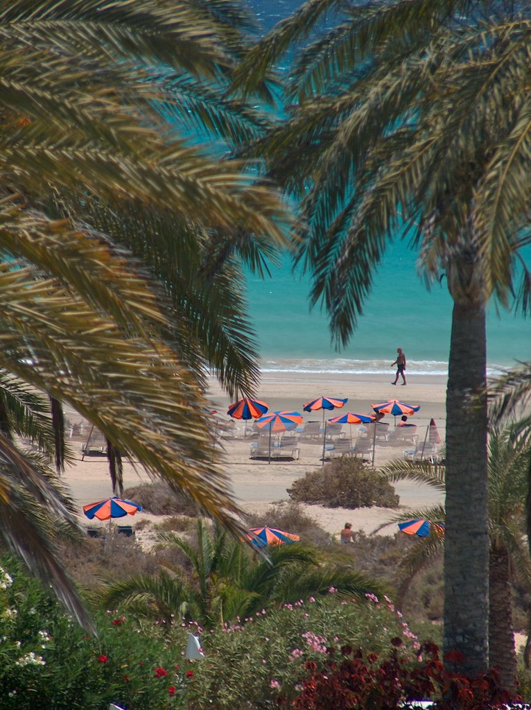 Beautiful beach in Costa Calma seen from Costa Calma Palace hotel by Bartek B.