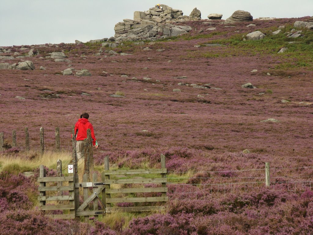 Walking towards Over Owler Tor near Millstone Edge, Sheffield S11 by sixxsix