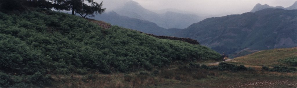 Cycling towards Langdale Pikes, July 1996 by tarjak