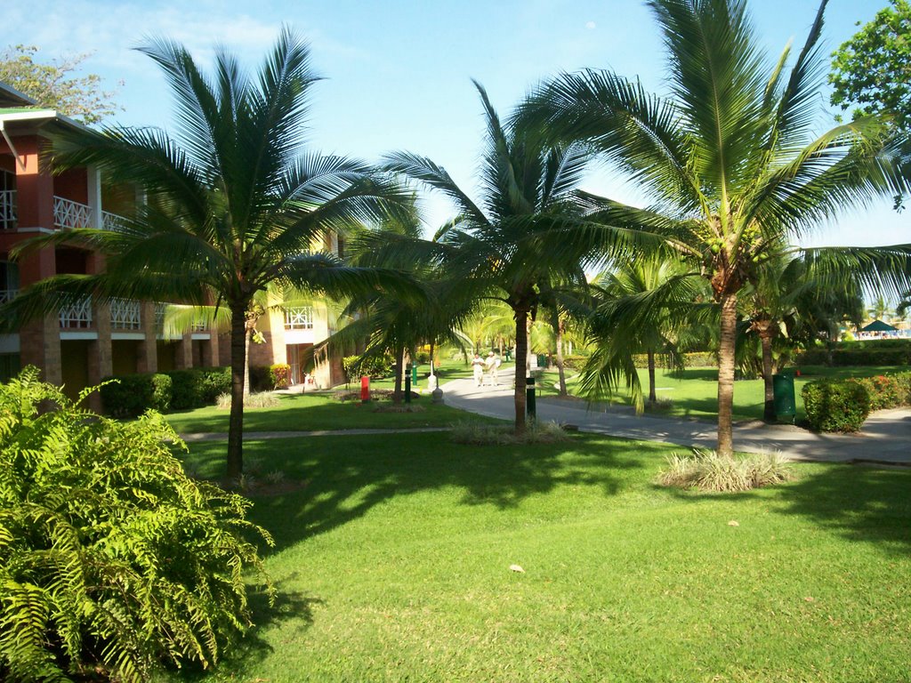 Jardines del Hotel Decameron en Panamá by Beamau