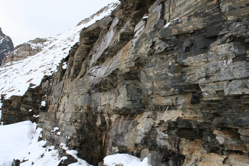 Burgess shale fossil site facing north by Steven Rappolee