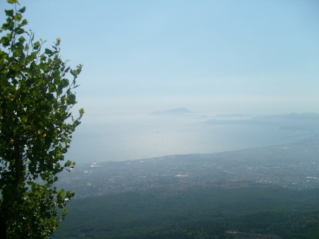 Bay of Naples as seen from the top of Vesuvio by mardango