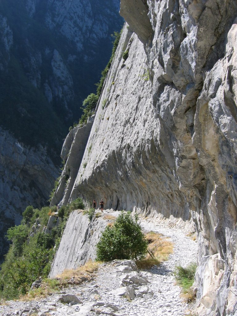 Le chemin de la Mâture by gamma22