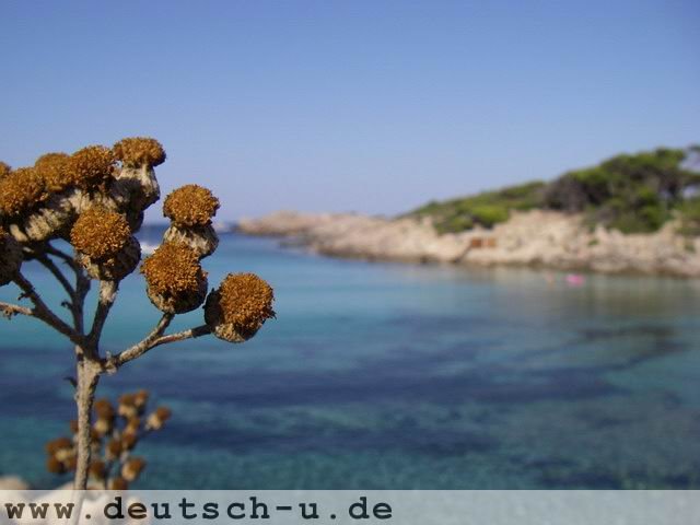 Cala Ratjada -- 2007-07 Neun Freunde in Cala Ratjada by ratte-rizzo