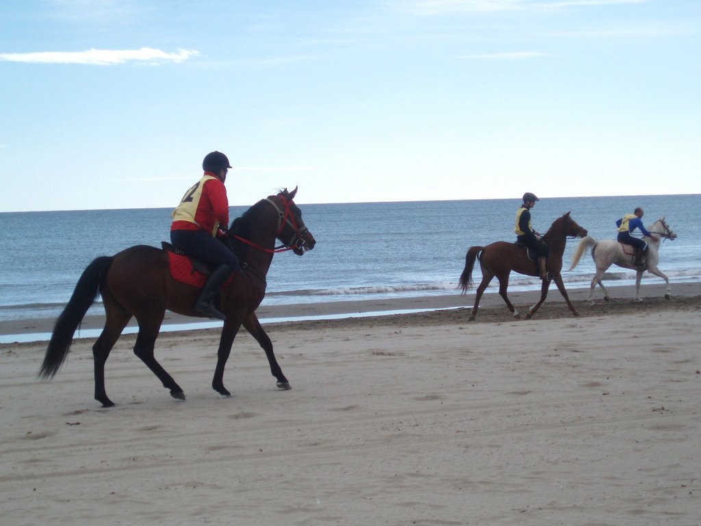 Carreras de caballos.Playa del Gurugú.Castellón by GabrielRG