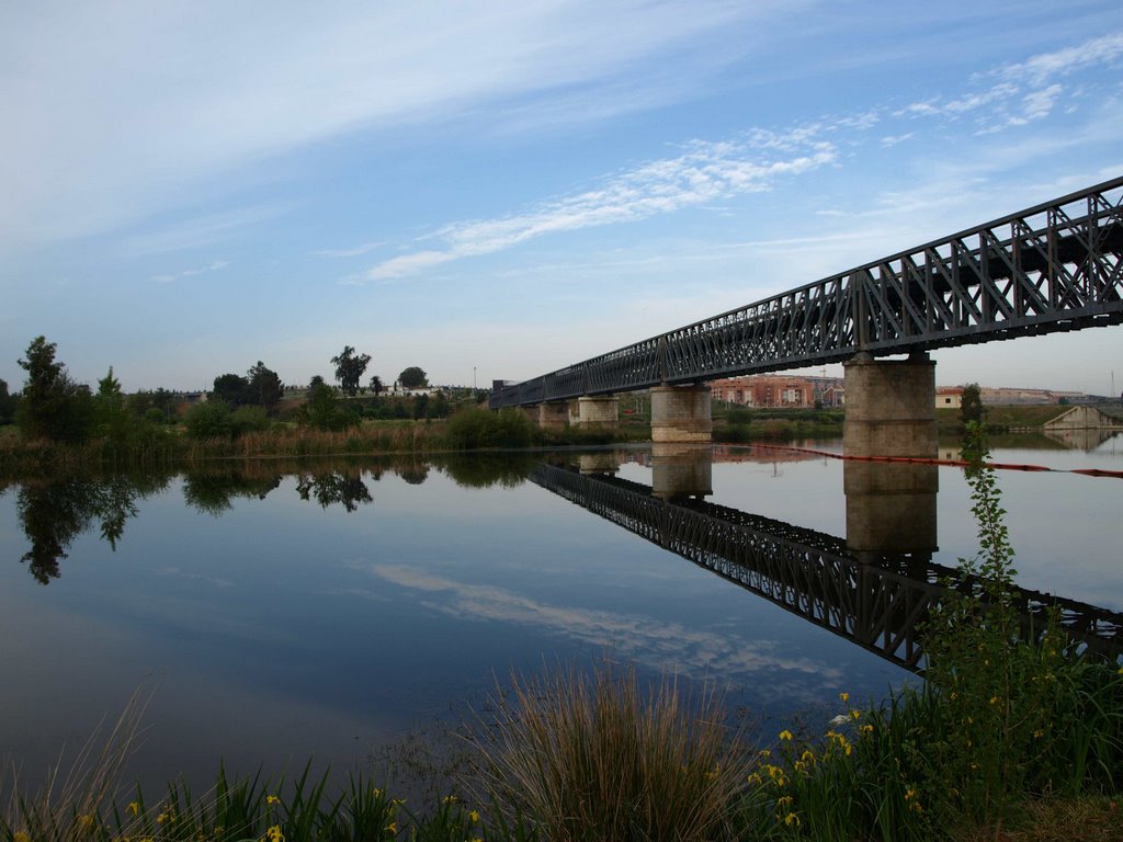 Puente de hierro sobre el Guadiana, Mérida. by zeppelin1957