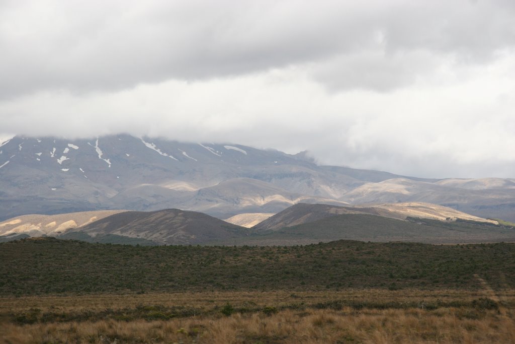 Desert Road - NZ by DER KLEINE FUCHS