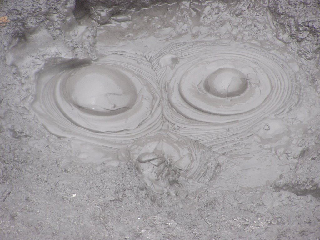 Rotorua - Hell's Gate - Boiling Mud, NZ by DER KLEINE FUCHS