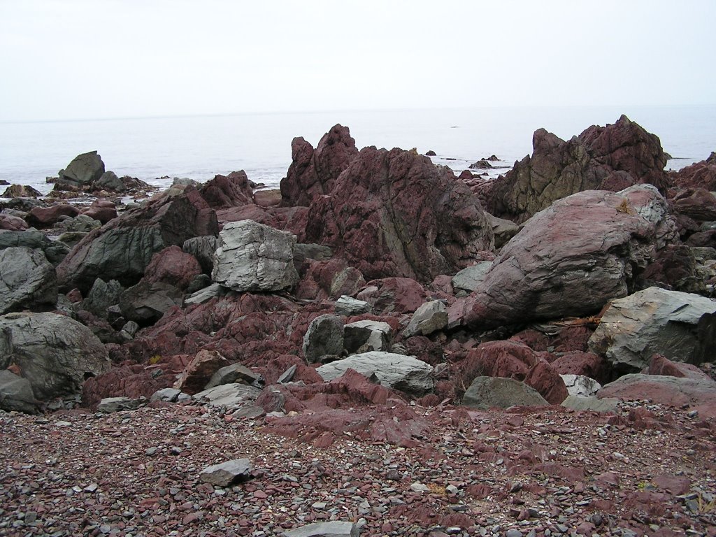 Red Rocks - Owhiho Bay - South Wellington Coast, NZ by DER KLEINE FUCHS