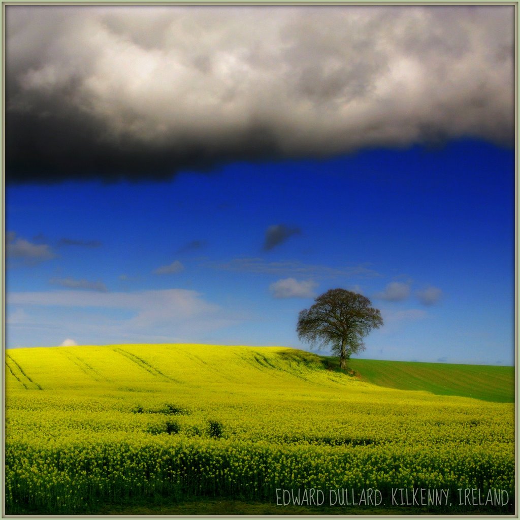 Powerstown, Milford, Co. Carlow, Ireland by EDWARDDULLARD