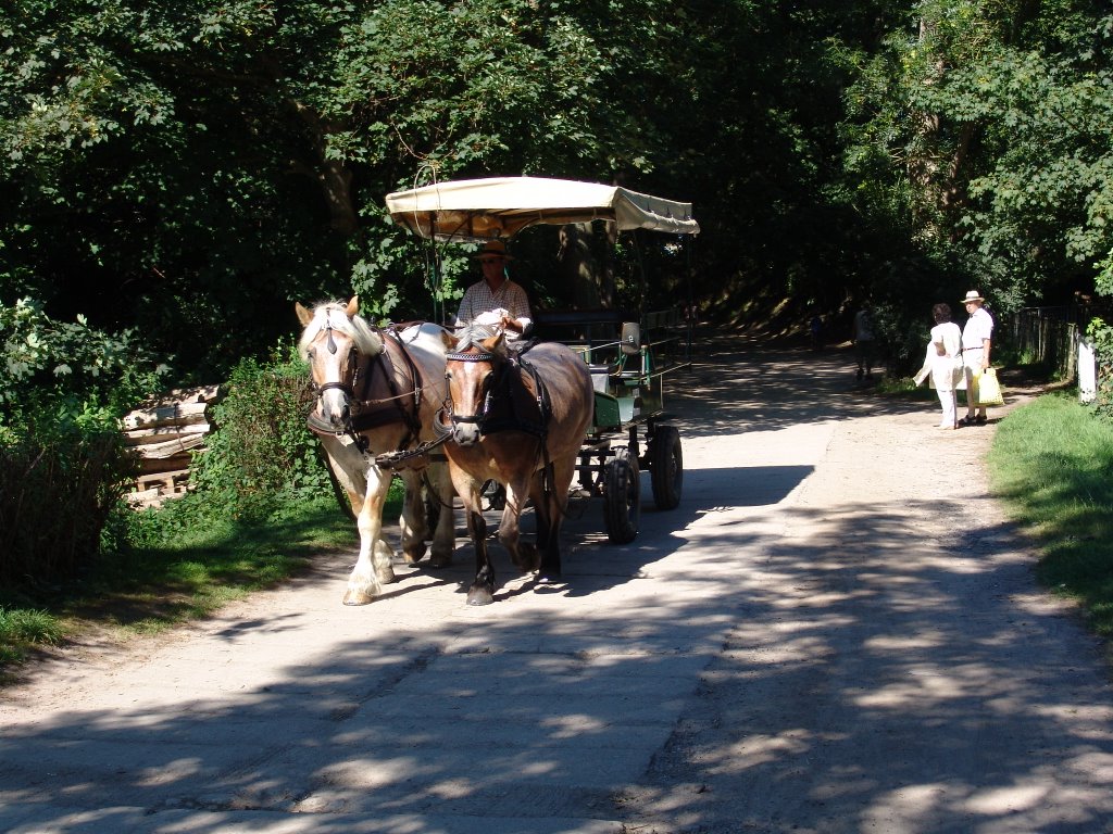 Kutschfahrt in Kloster by Thorsten vom Deich