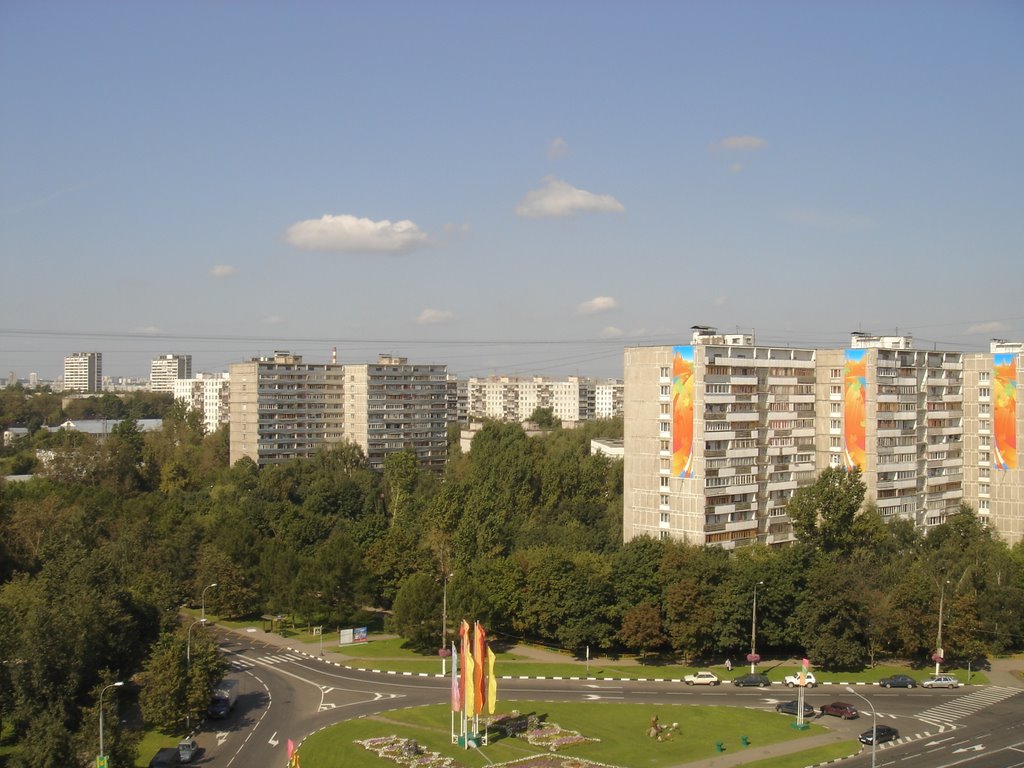 Biryulyovo Vostochnoye District, Moscow, Russia by Donens