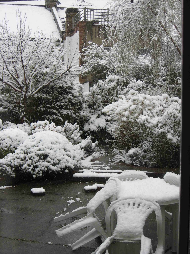 Backyard in Willesden in Winter by macholl