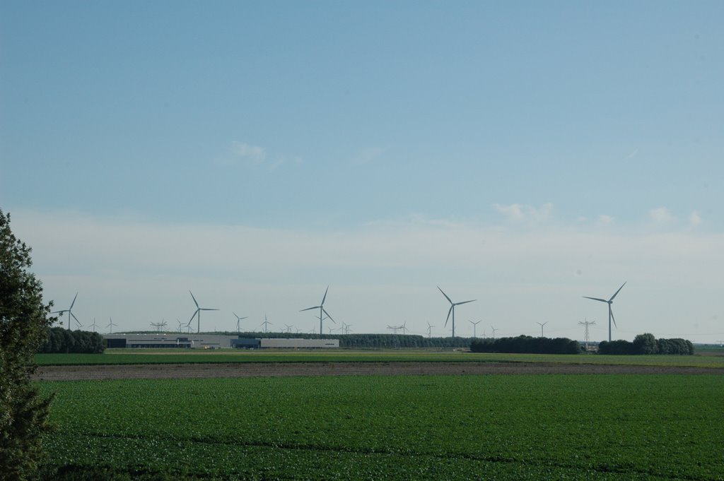 Dubbele horizon-landschapvervuiling bij Gooimeerdijk-Oost by René Speur