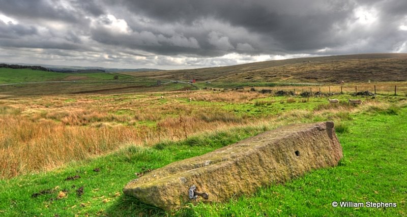 Fallen gatepost by William Stephens