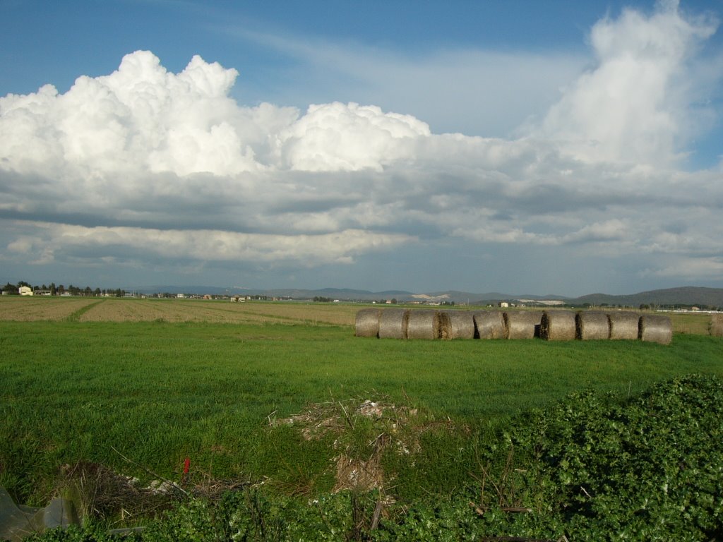 Maremma Toscana - Albinia (GR) by Daniele Messina